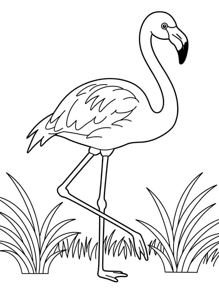 Utskrivbar Flamingo Bilde for Barn fargelegging