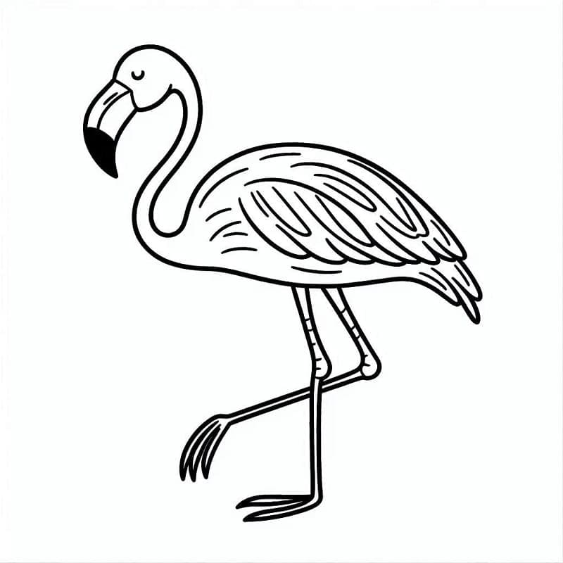 Utskrivbar Flamingo Bilde fargelegging