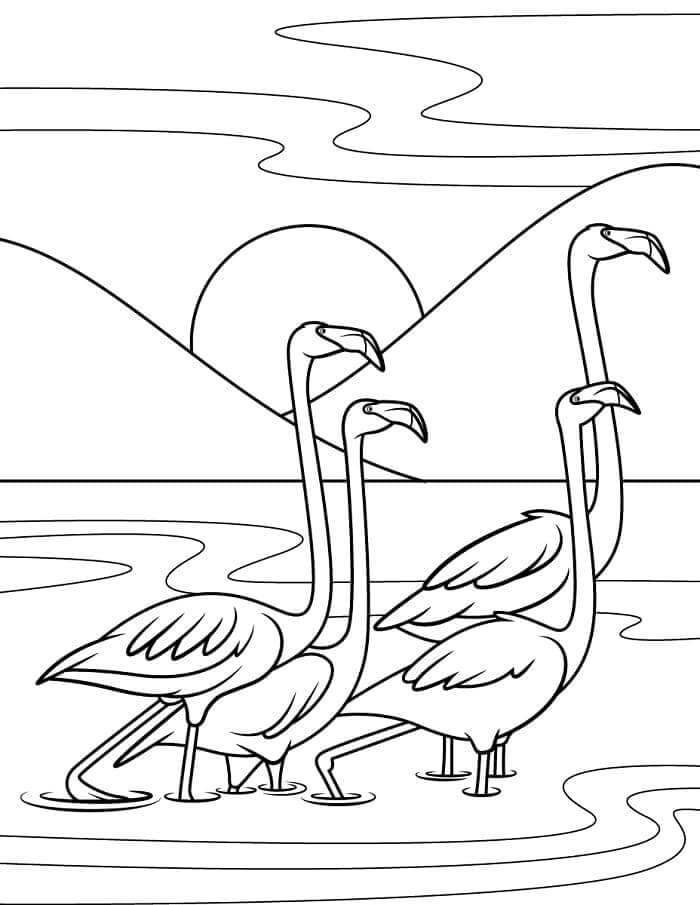 Utskrivbar Flamingo fargelegging