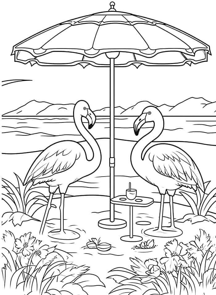 Vakker Flamingo fargelegging