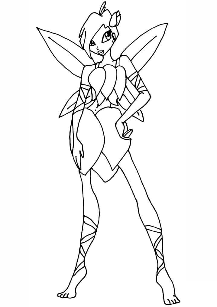 Winx Club (41) fargelegging