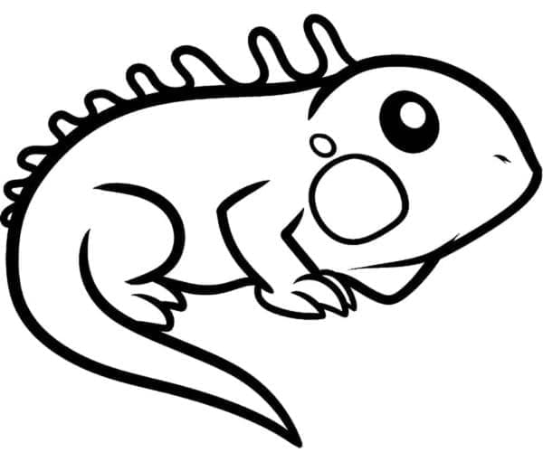 Gratis Iguana til Utskrift fargelegging