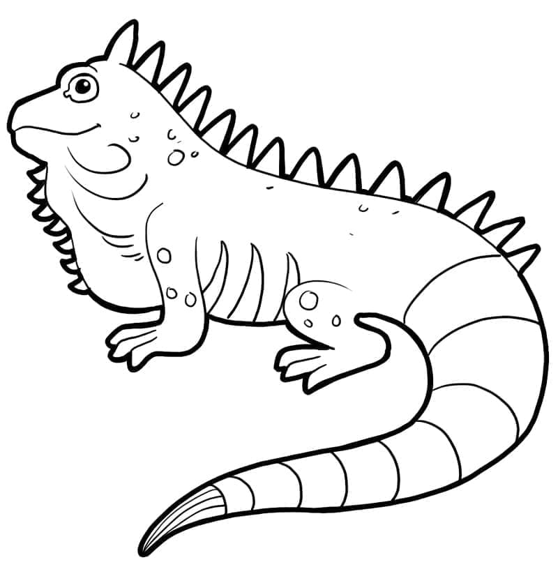 Gratis Iguana Utskrivbar fargelegging