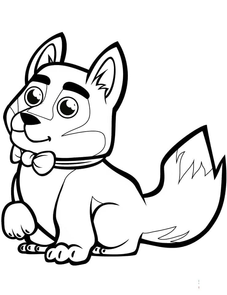 Husky (3) fargelegging