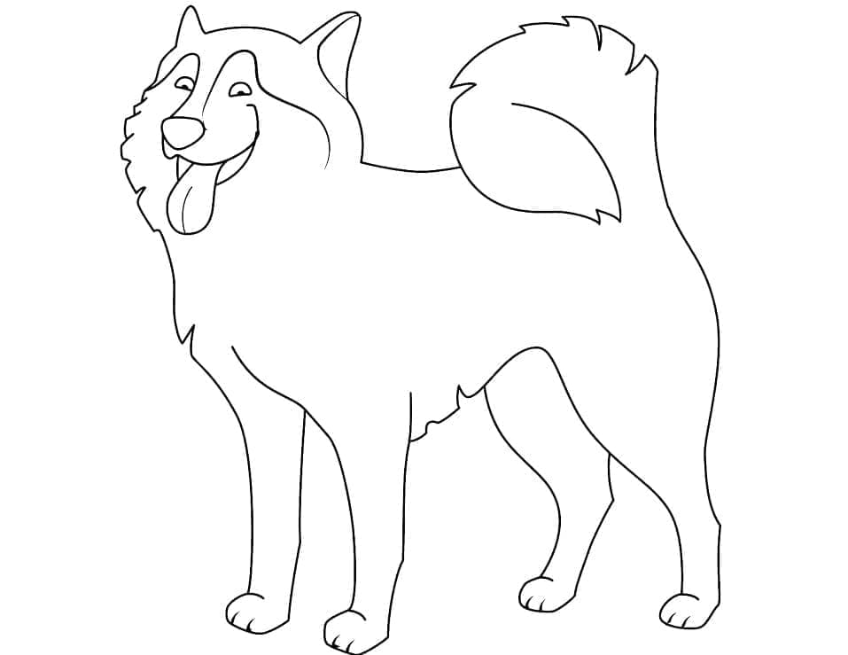 Husky Bilde fargelegging