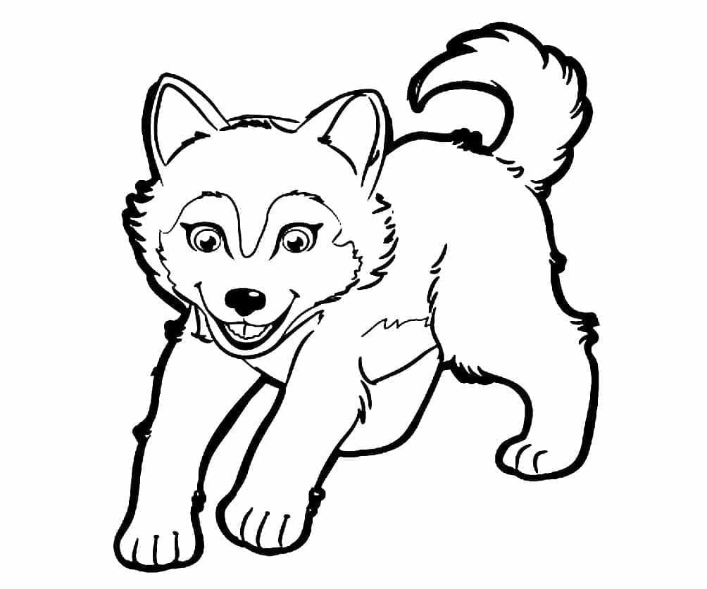 Husky for 1-årige Barn fargelegging
