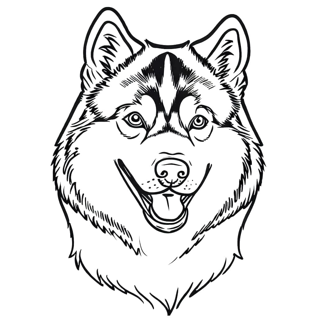 Husky for 3-årige Barn fargelegging