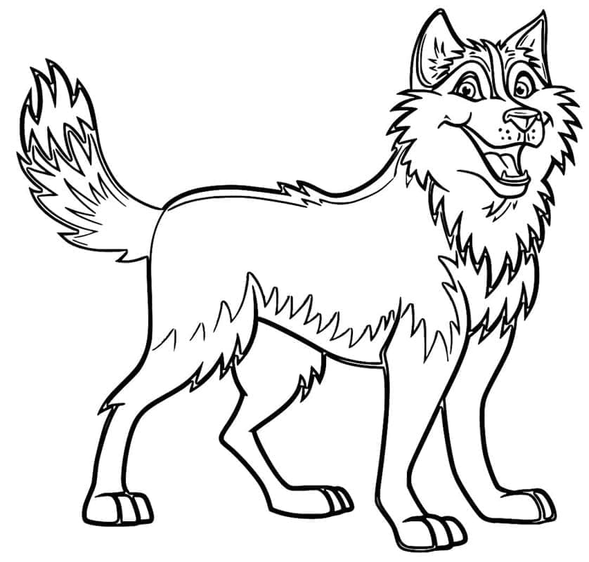 Husky for Barn fargelegging