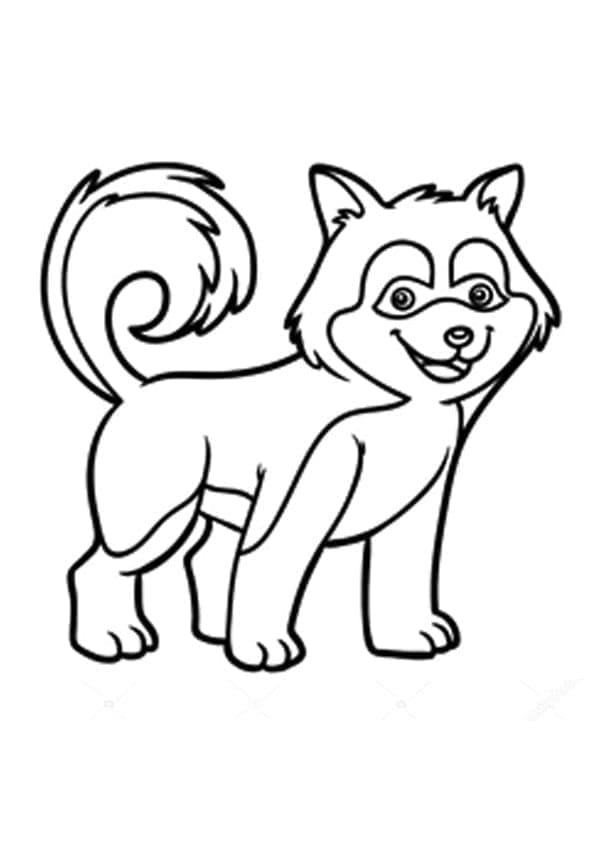 Husky Gratis for Barn fargelegging