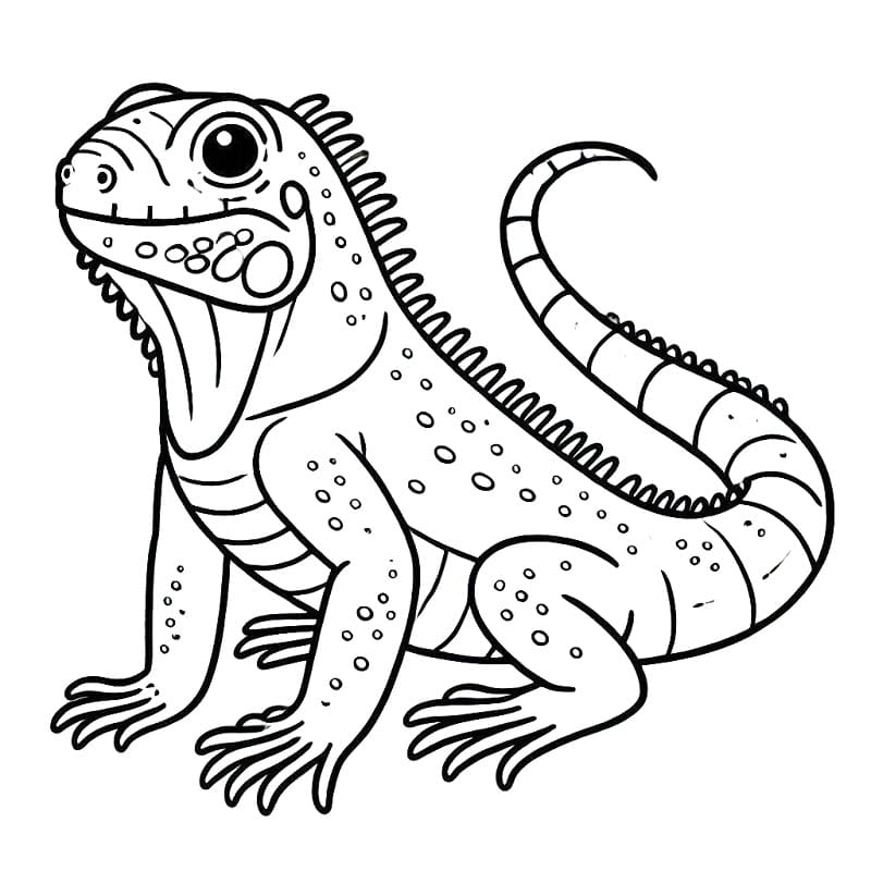 Iguana Bilde fargelegging