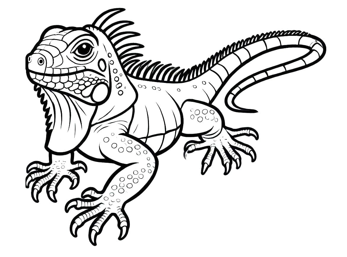 Iguana Dyr fargelegging