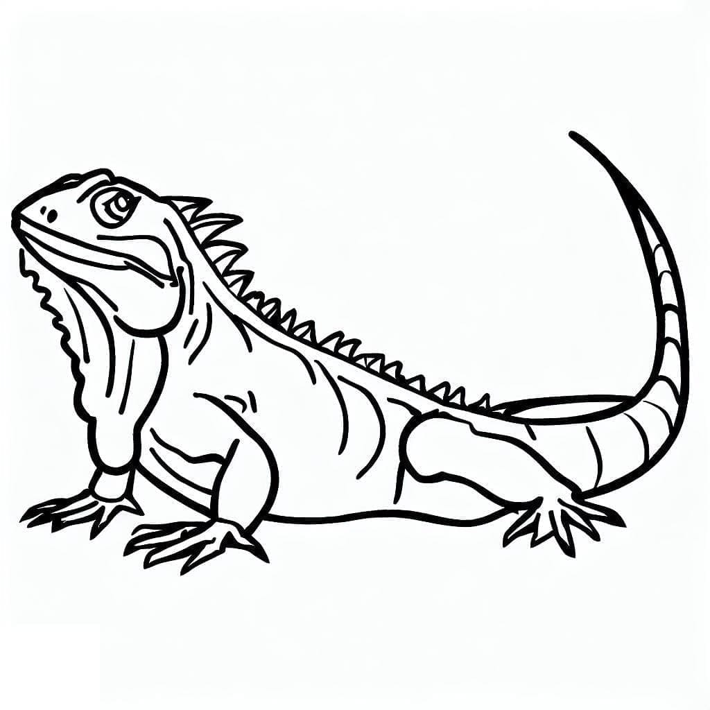 Iguana for 4-årige Barn fargelegging