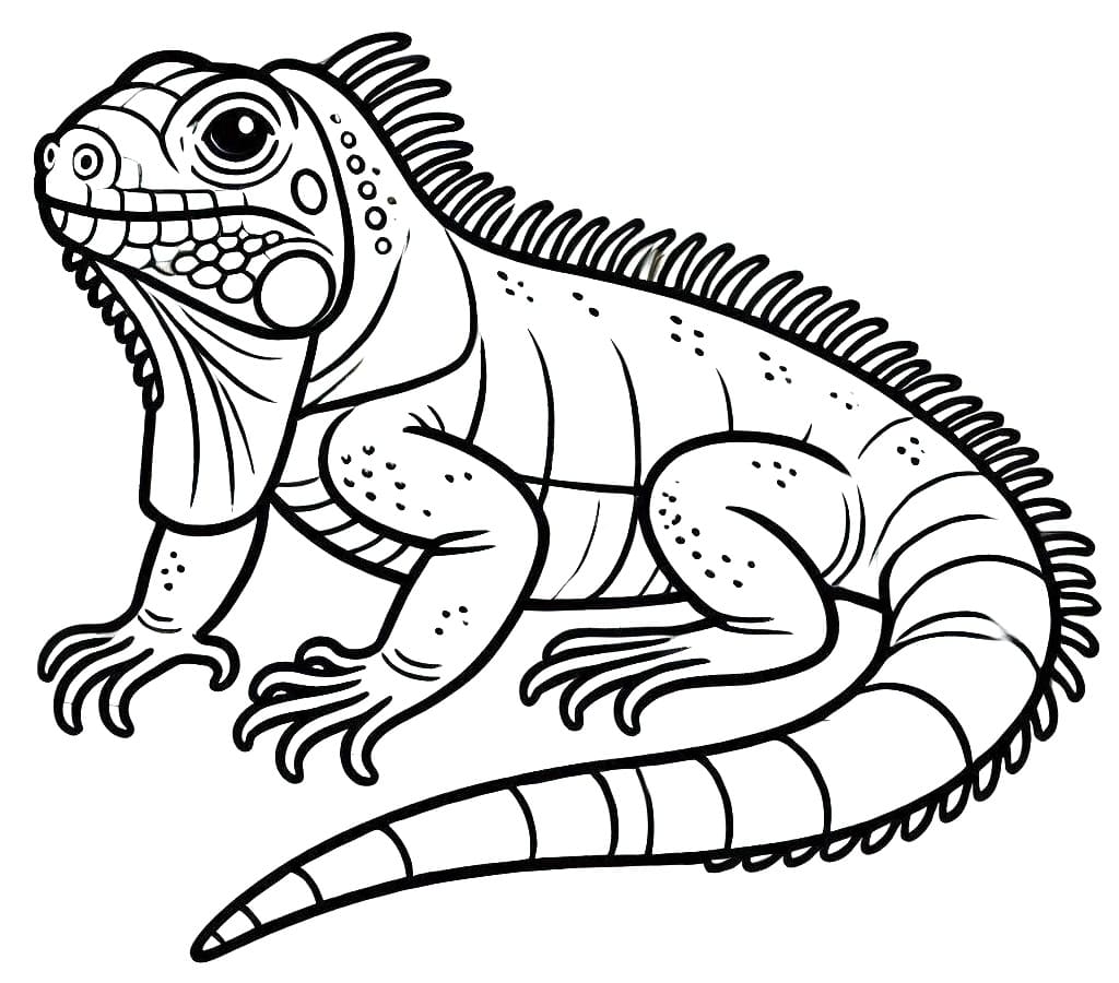 Iguana Gratis fargelegging