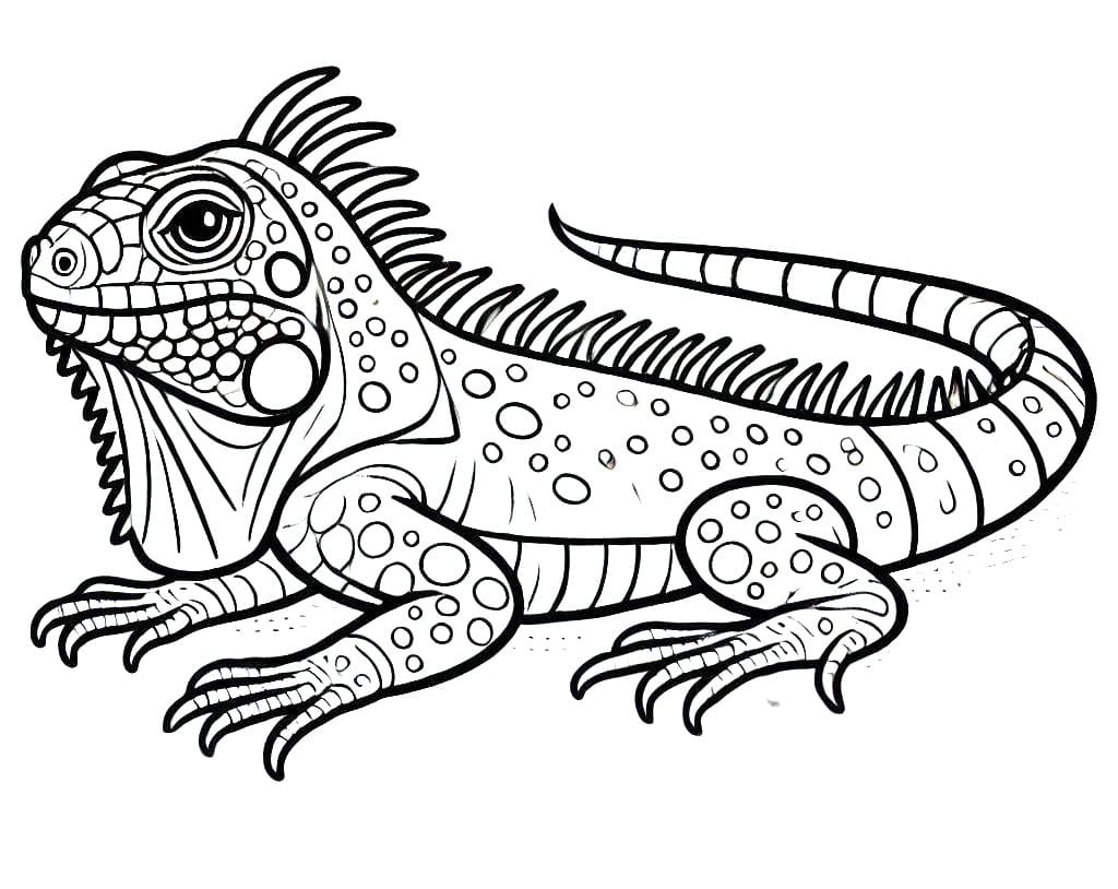 Iguana til Fargelegging fargelegging