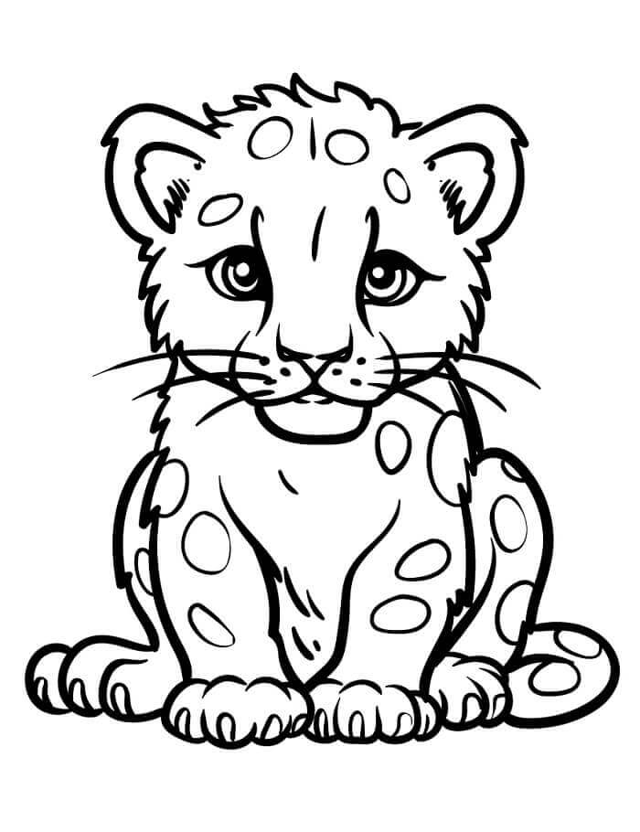 Leopard (11) fargelegging