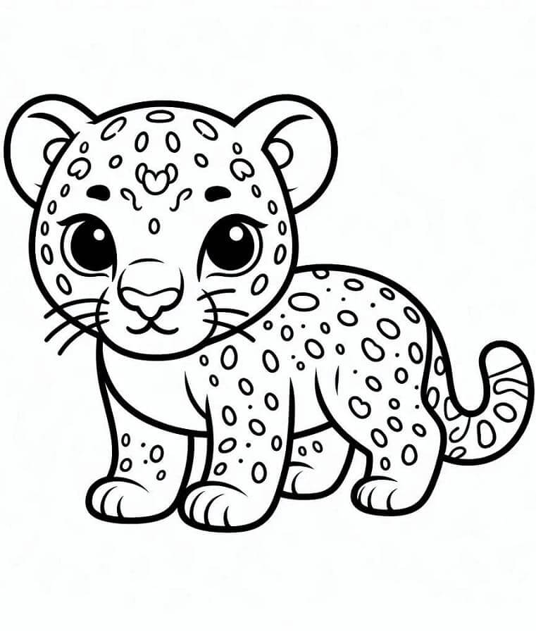Leopard (12) fargelegging