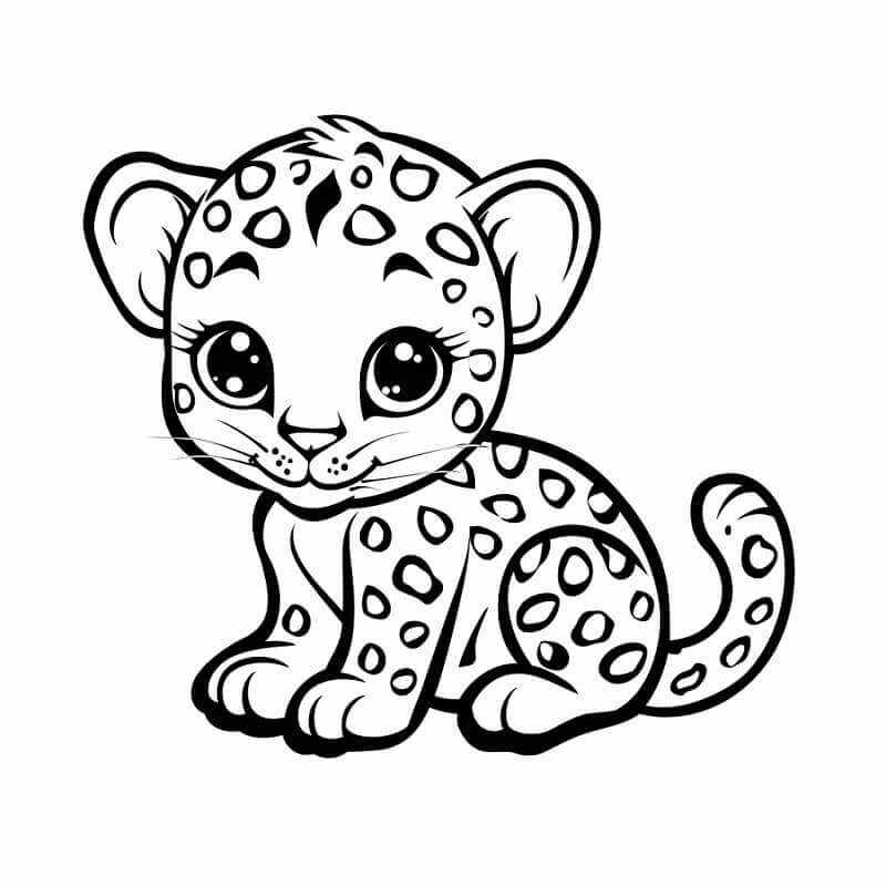 Leopard (2) fargelegging