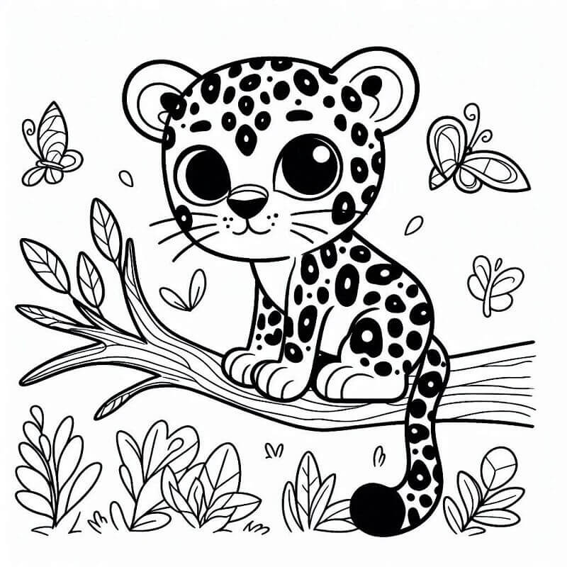 Leopard (5) fargelegging