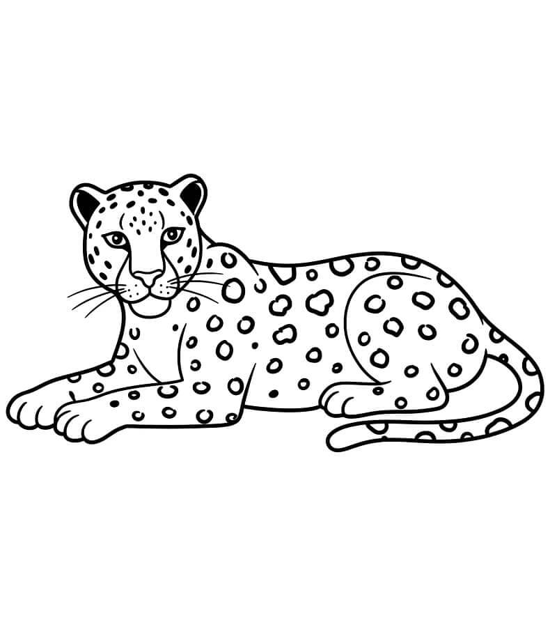 Leopard for 1-årige Barn fargelegging