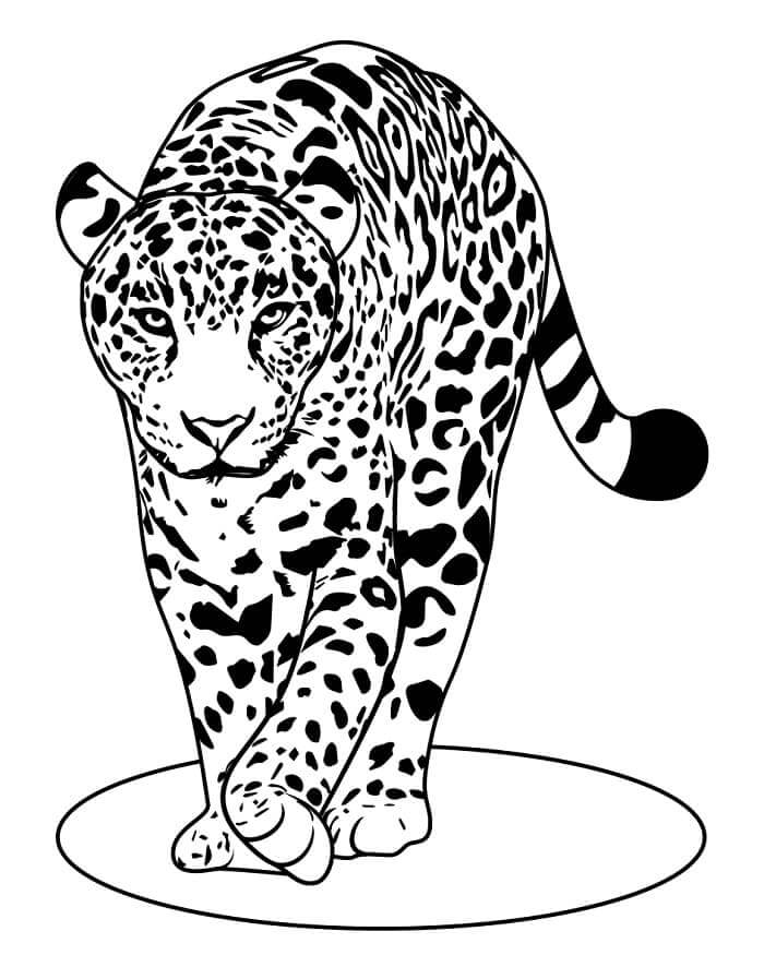 Leopard for 2-årige Barn fargelegging