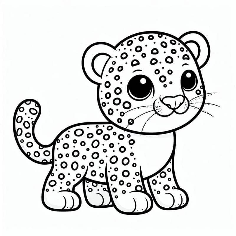 Normal Leopard fargelegging