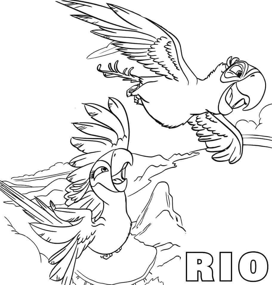 Rio (10) fargelegging