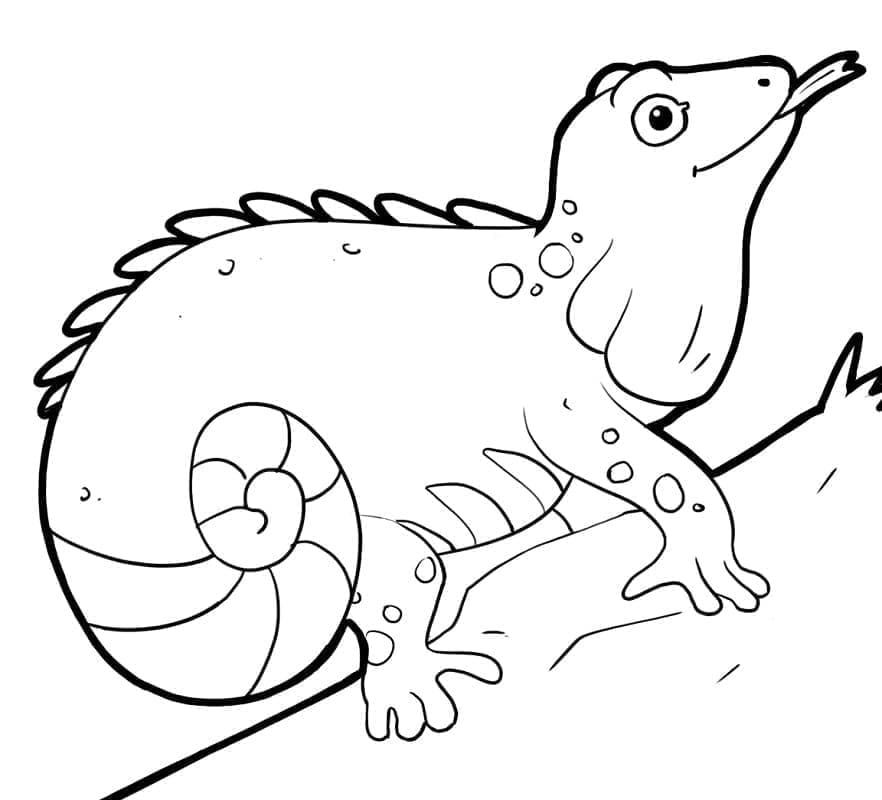 Utskrivbar Gratis Iguana fargelegging