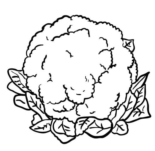Blomkål Fargeleggbar for Barn fargelegging