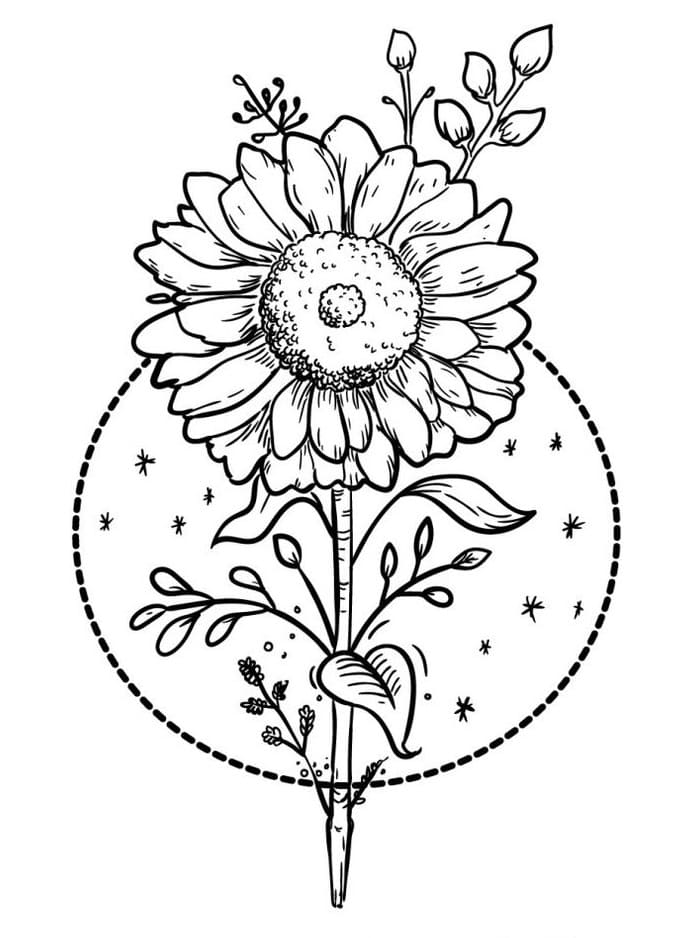 Blomster (11) fargelegging