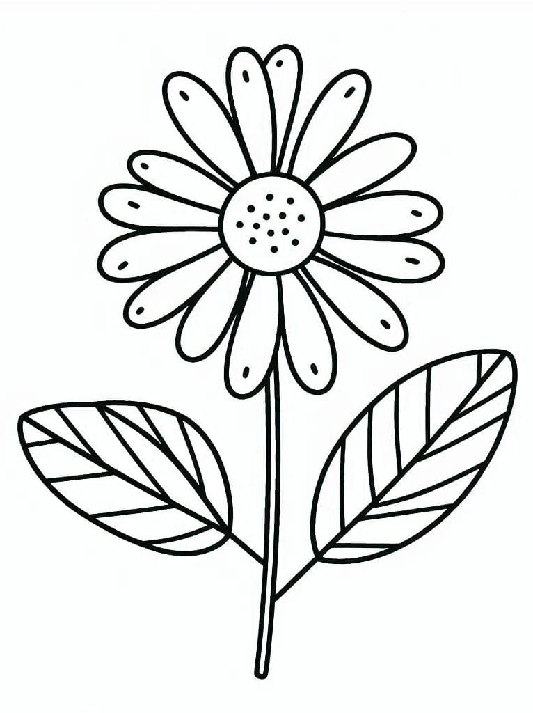 Blomster (12) fargelegging