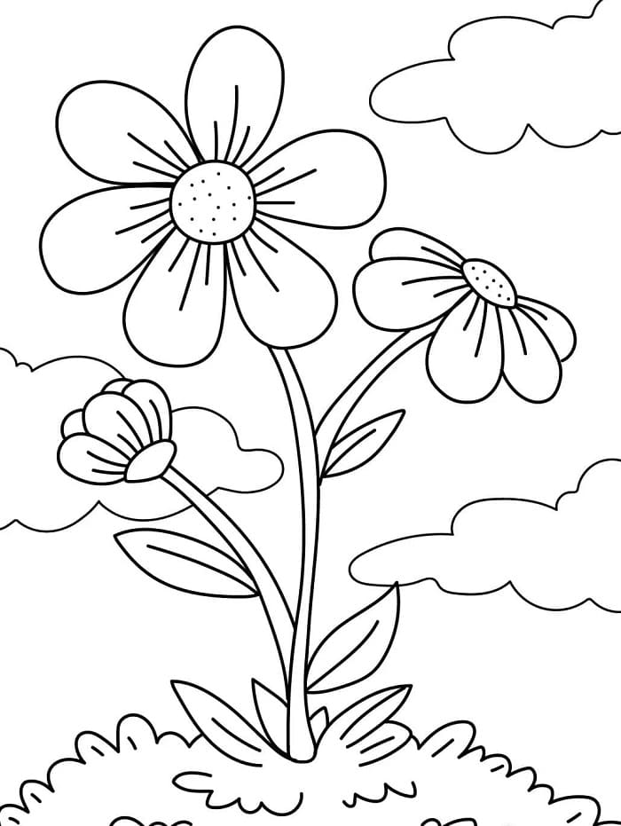 Blomster (14) fargelegging