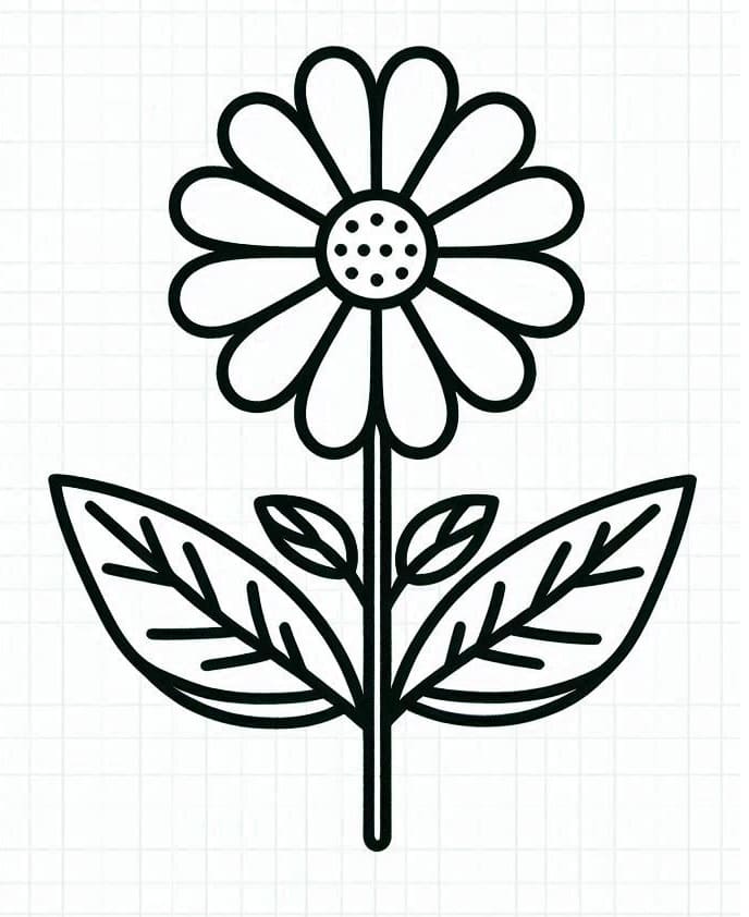 Blomster (15) fargelegging