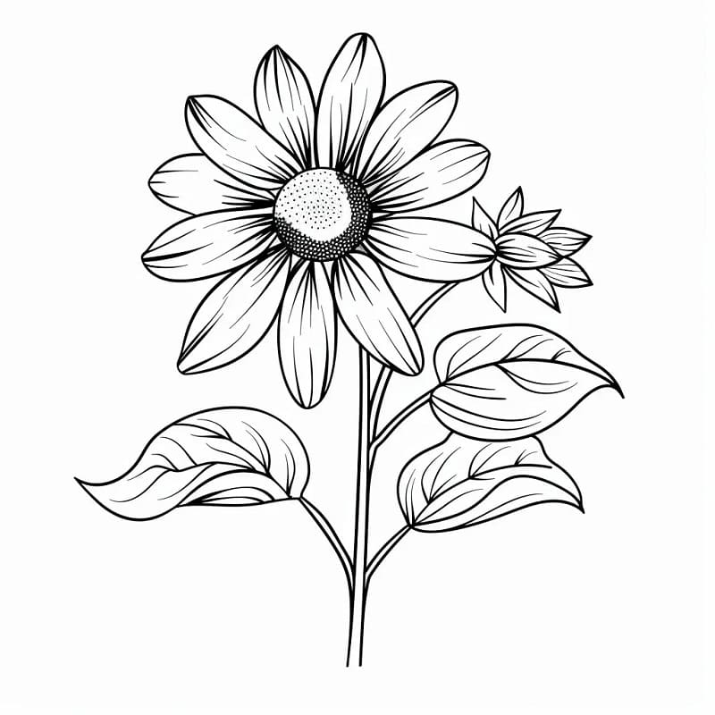 Blomster (17) fargelegging