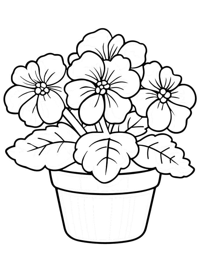 Blomster (21) fargelegging