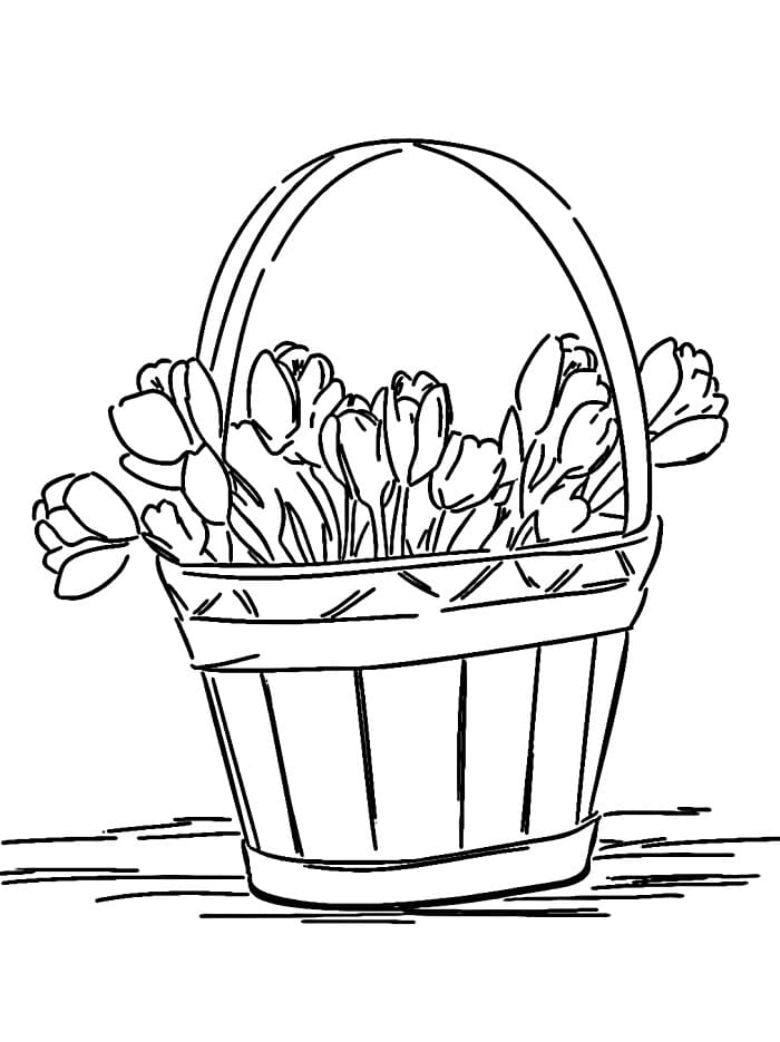 Blomster (22) fargelegging
