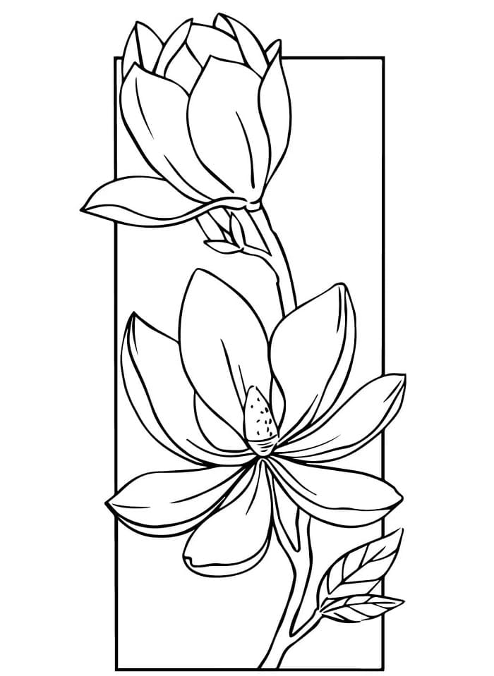 Blomster (27) fargelegging
