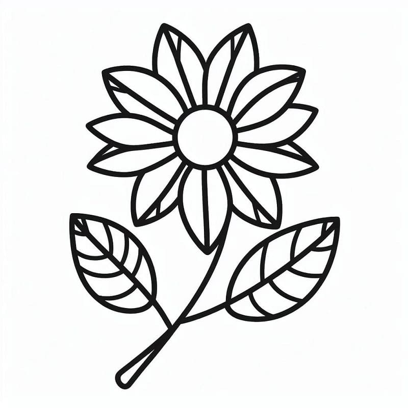 Blomster (28) fargelegging
