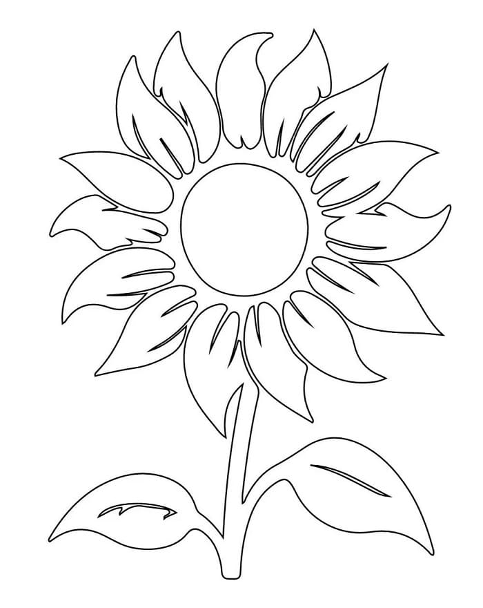 Blomster (29) fargelegging