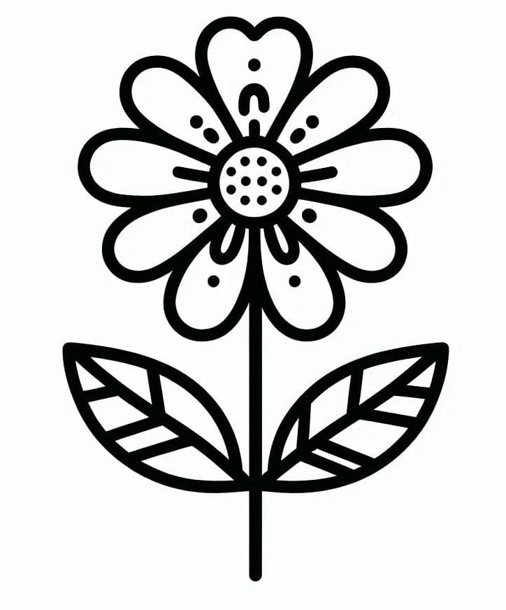 Blomster (30) fargelegging