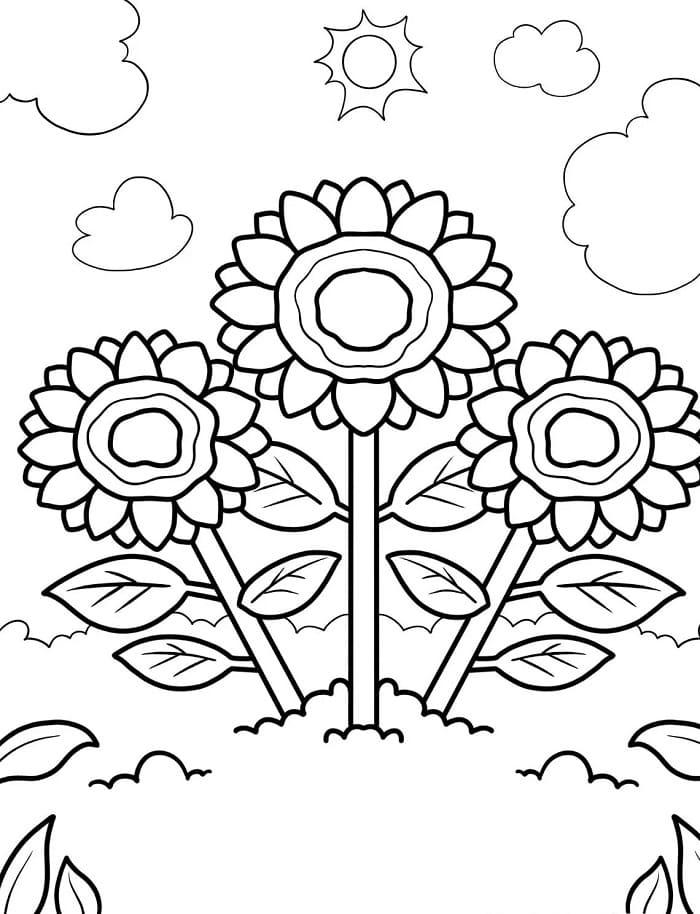 Blomster (6) fargelegging