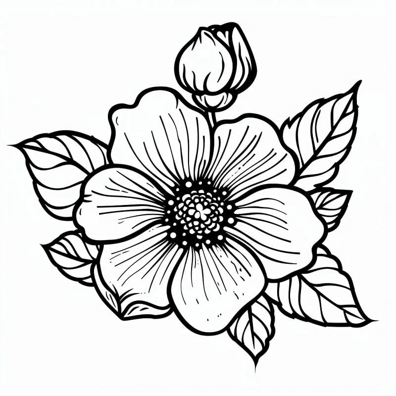 Blomster (7) fargelegging