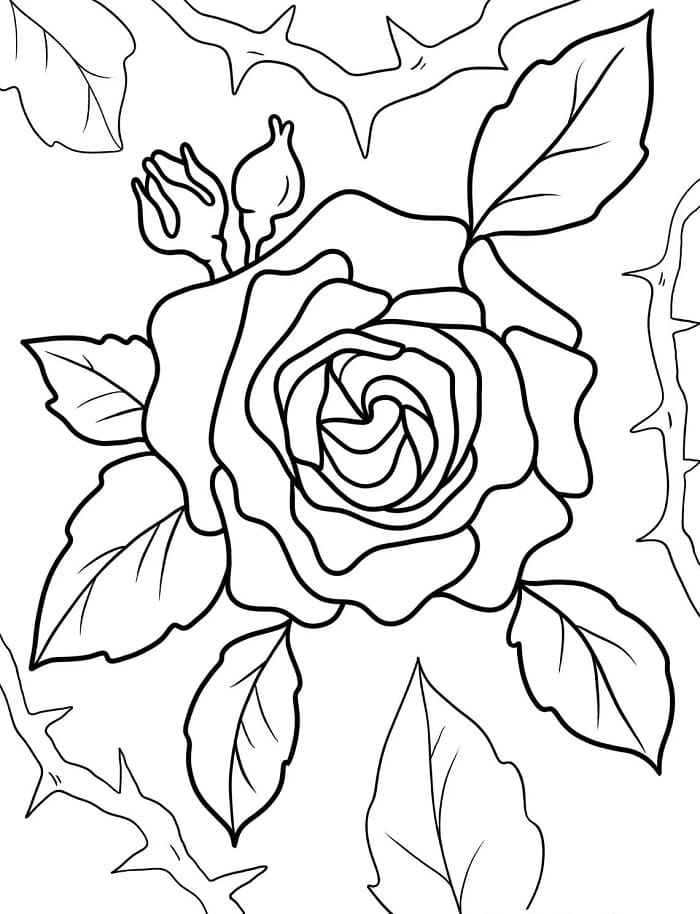 Blomster (8) fargelegging