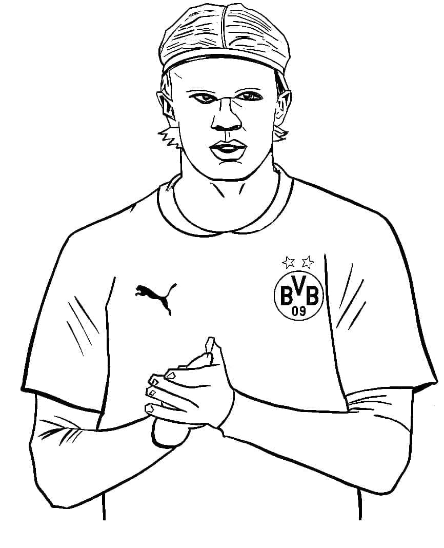 Erling Haaland Fargelegging