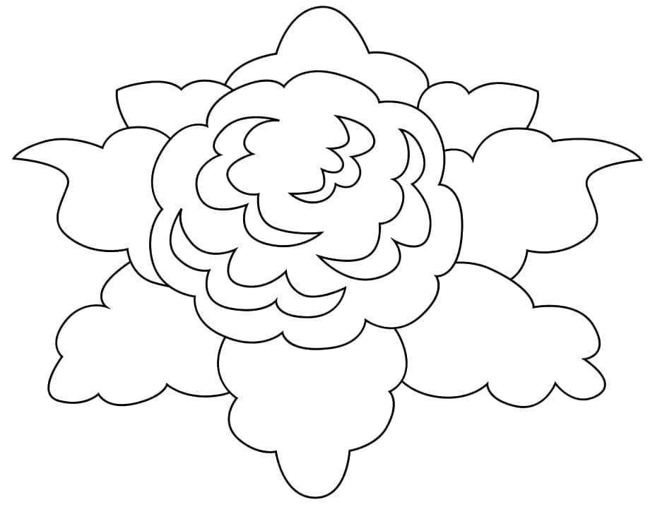 Blomkål Fargelegging