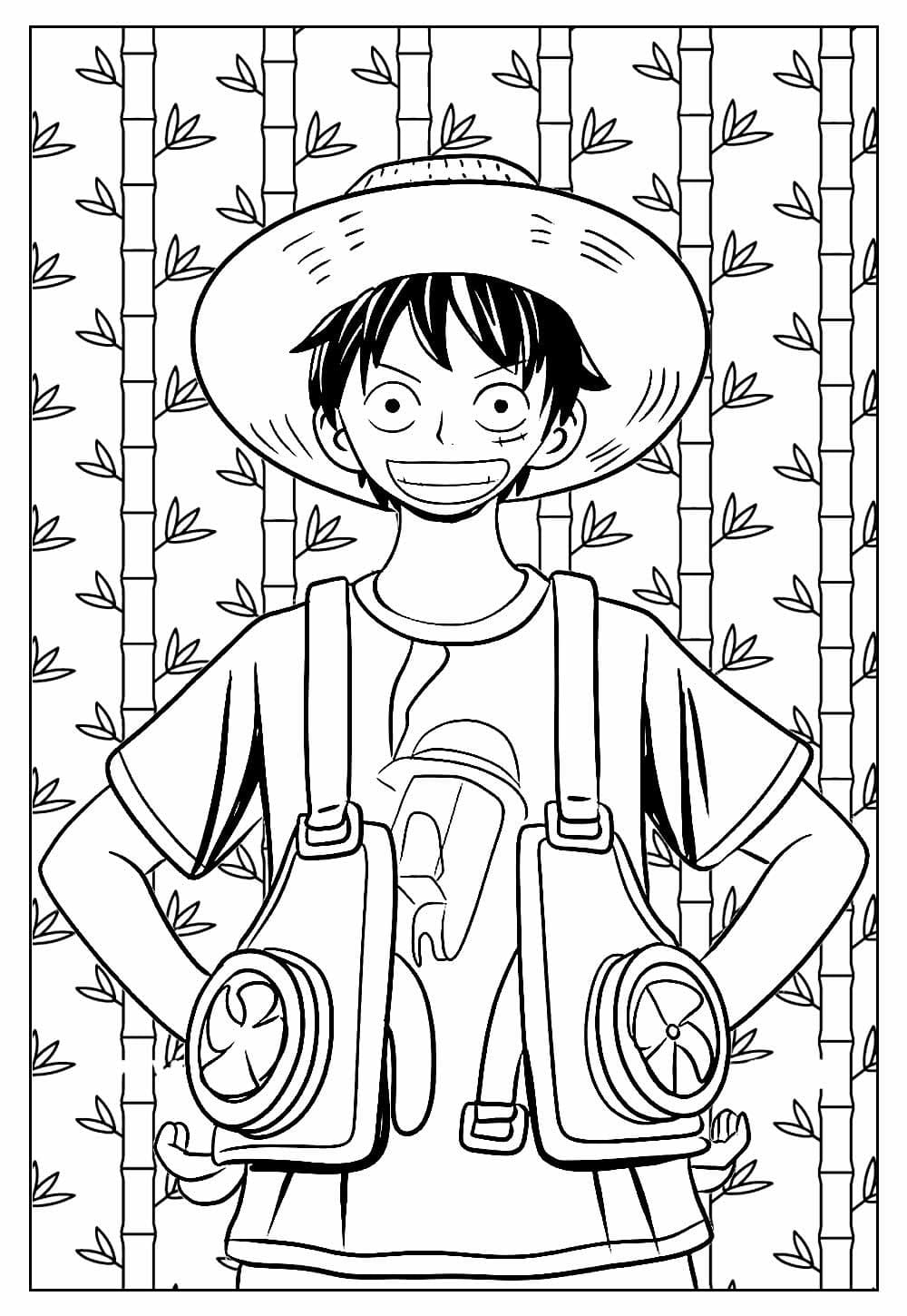 Luffy One Piece fargelegging