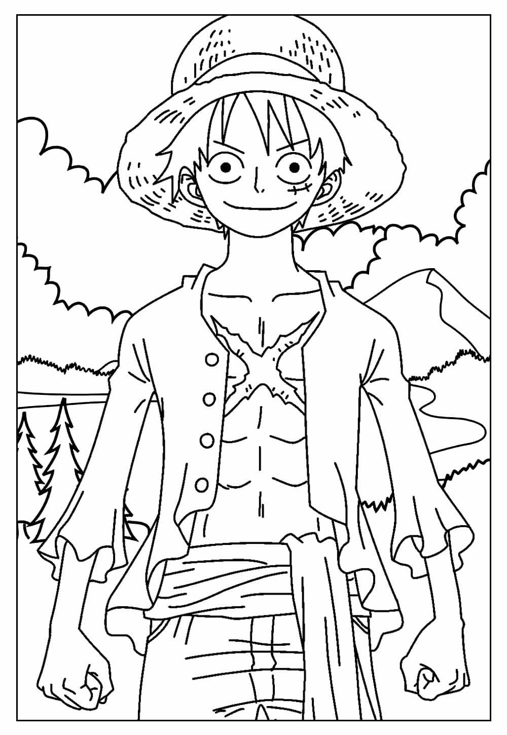 Luffy Fargelegging