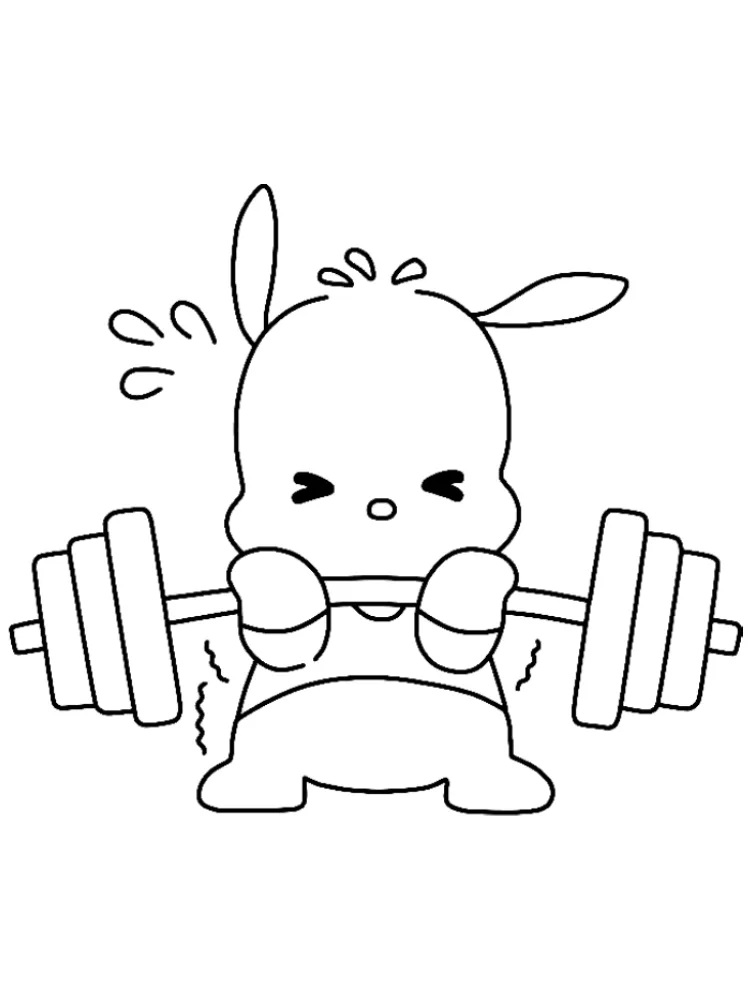Pochacco Sanrio fargelegging