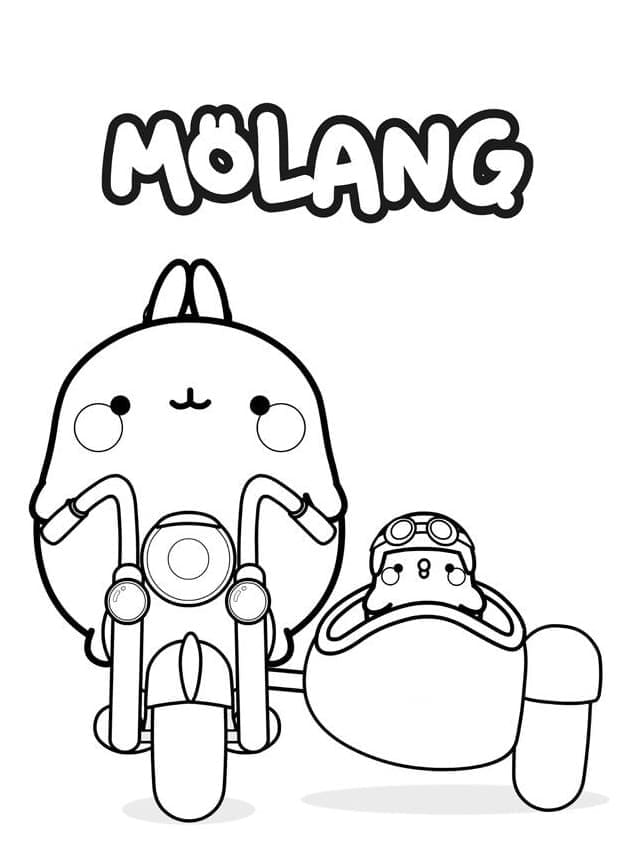 Molang Fargelegging
