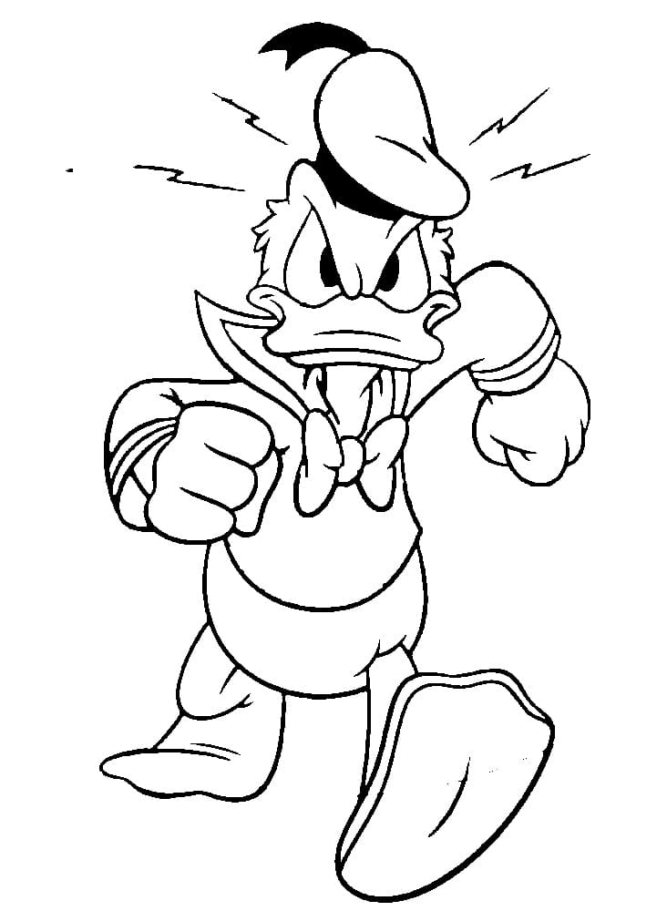 Donald Duck er Sint fargelegging