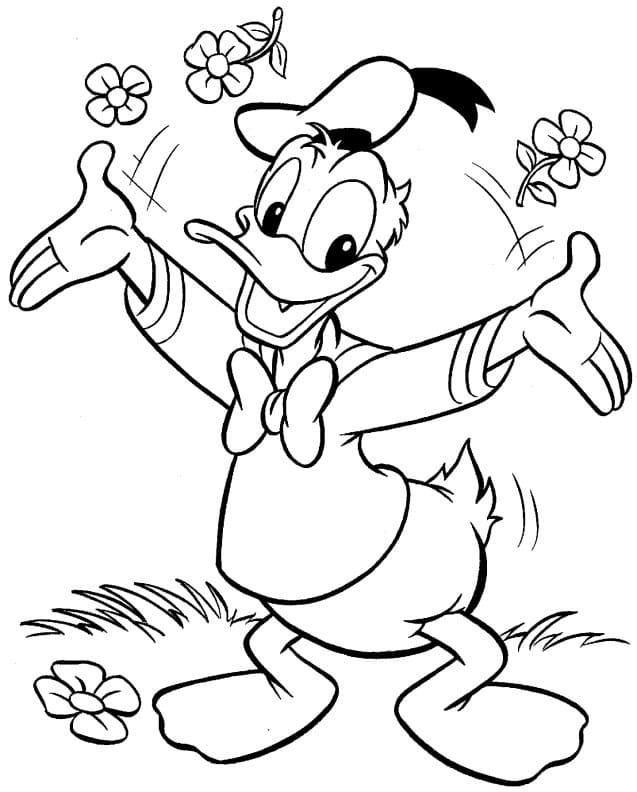 Donald Duck for Barn fargelegging